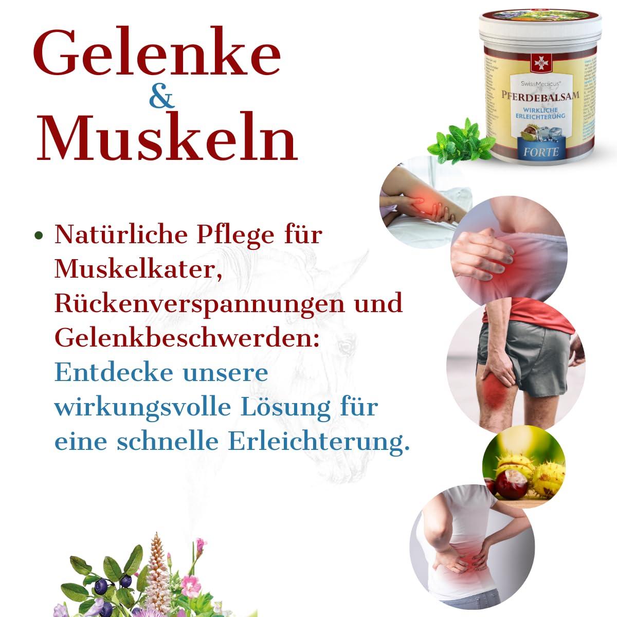 SwissMedicus Pferdebalsam mit 25 Kräuter (Beinwell, Rosskastanie, Arnika, Eukalyptus) – Spürbare Linderung bei Massage – Für Muskeln, Gelenke und Rücken – Kühlende Extra-Starke Formel – 500 ml 5