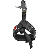 Scott Archery S1 Release