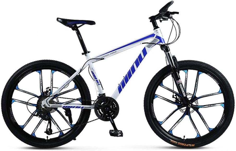 a bike with one wheel