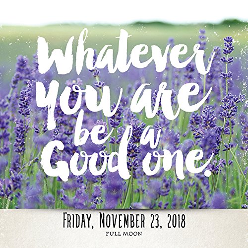 Soar 2018 Daily Desktop Calendar: Page a Day - Thumbnail 3