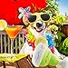Haute Diggity Dog Muttgarita, Plush Designer Dog Toys with Interactive Squeaker, Stimulating Pet Enrichment, Machine-Washable & Safe Materials for All Breeds, One Size