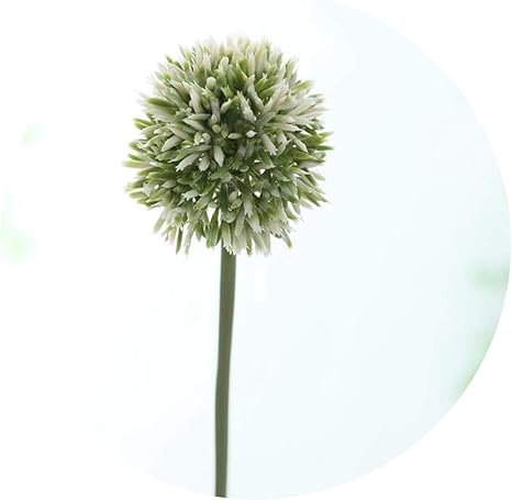 Amazon Diremo プラスチック玉ねぎボール枝 人工花 秋 ホームガーデン装飾 フラワーアレンジメント フェイク植物 花 One Size Sb 122 造花 オンライン通販