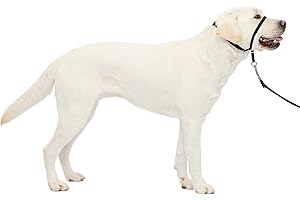 PetSafe Gentle Leader No-Pull Headcollar - Breathable Lightweight Walking Halter - Minimal Strap Design & Padded Nose Loop - Snout-Specific Fit - Helps Gain Easy Control