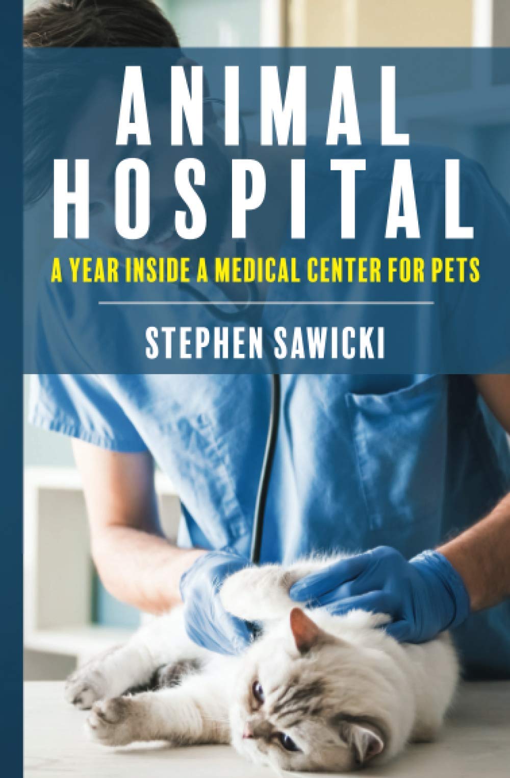 angel memorial animal hospital