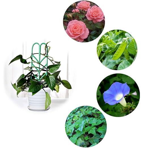 Anpatio - Enrejado de plástico para Plantas de Interior (6 ...