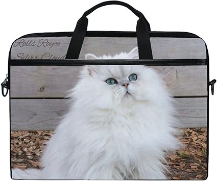 Amazon Com Animal Cat Persian White Fluffy Gray Animated Real Pet