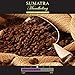 Kaffina Kaffe Premium Gourmet Ground Coffee - Single Origin - Medium Roasted Sumatra Mandheling Coffee