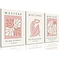 Djmwtb Matisse Abstract Canvas Wall Art Framed Set of 3 Pink Flower Market Poster Prints Modern Aesthetic Pictures Minimalist Wall Decor Painting for Living Room Bedroom Bathroom 12"x16"x3