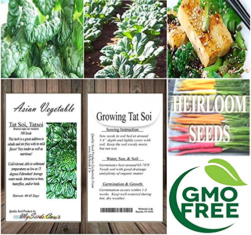 8 x Asian Vegetable Seeds Combo - Bitter Melon, Calabash, Kai LAN, Choy Sum, Luffa, Michihili, Tat SOI, Winter Melon - by MySeeds.Co - Thumbnail 7