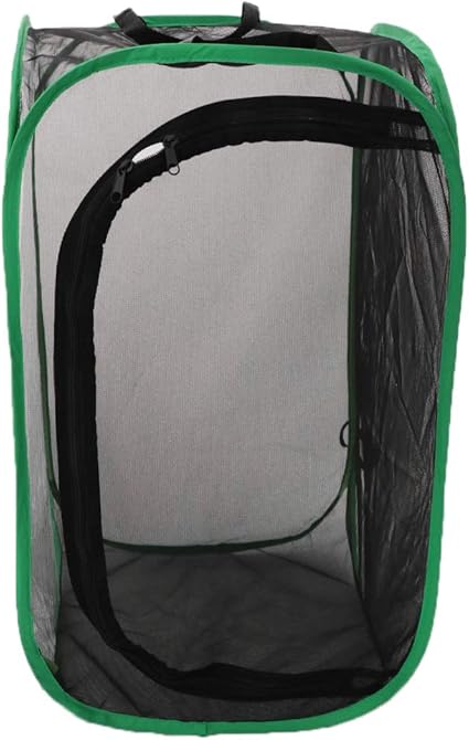 B Blesiya Cage à Insectes Papillons Pliable Design à