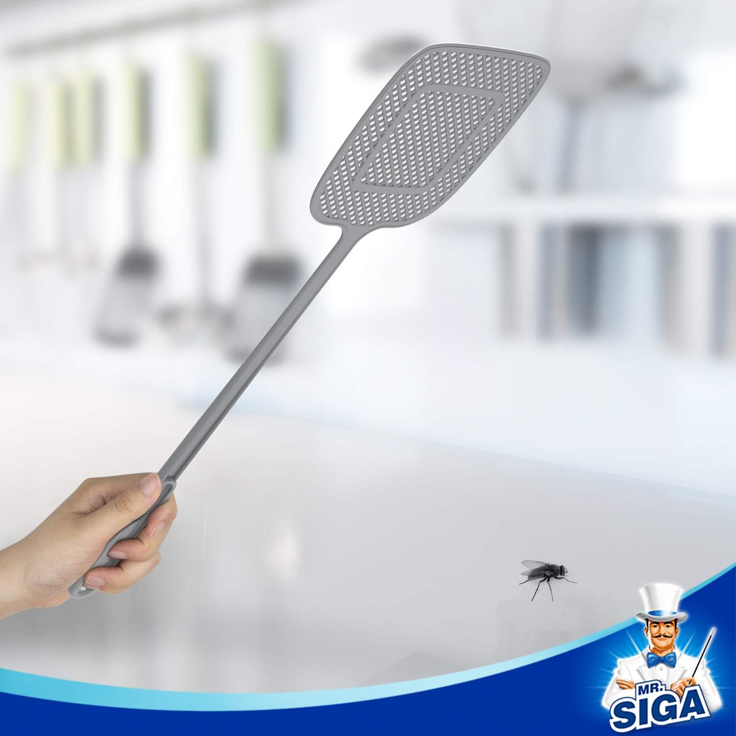 MR.SIGA Heavy Duty Long Handle Fly Swatter, Gray, 6 Pack: Home & Kitchen
