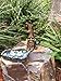 GlitZGlam Mini Swan Pond - Love is in the Air! Miniature Swan Pond for Fairy & Garden Accessories