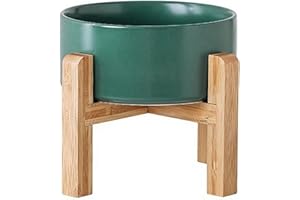 Petygooing Green Elevated/Raised Ceramic Dog Bowl for Small Breeds, Dog Food Water Dish with Stand,Pet Feeding Bowl with Anti Slip Rubber for Cats and Small Dogs Puppy 13.5 OZ (5.1In / 1.7 Cups)