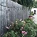 AMLIGHT Pack of 2 Outdoor String Lights, Heavy Duty Commercial Weatherproof Patio Lighting Strands Without Bulb
