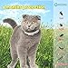 Flea and Tick Prevention for Cats | Cat Collar | Cat Flea Collars | Flea Tick Prevention | Cat Flea Treatment | Flea Protection | Pet Flea Collars | Fleas Ticks for Flea Control Cats Kittens