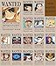 cosplaywho One Piece Wanted Posters 16 pcs and a Gift Card (New)