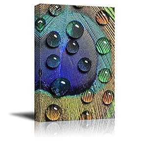 Canvas Wall Art Beautiful Peacock Dreaming Painting Artwork for Home Prints Framed - 12x18 inches