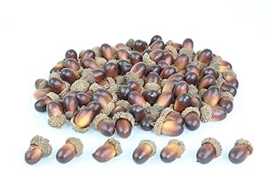 CRAFT ACORNS, ARTIFICIAL ACORNS, Lifelike Simulation Small Acorn Decoration for DIY Projects, Home, Kitchen, Party, Many Pack Quantities (100)