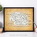 Brain - 11x14 Unframed Art Print - Makes a Great Clinic or Office Decor and Gift Under $15 for Doctors, Medical Students, Nurses and Healthcare Professionals