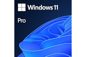 Windows 11 Pro for 1 PC [Product Key Only]
