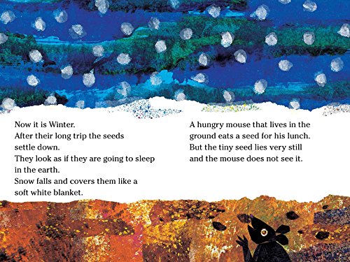 The Tiny Seed/Ready-to-Read Level 2 (The World of Eric Carle) - Thumbnail 5