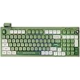 EPOMAKER RT100 97 Keys Gasket BT5.0/2.4G/USB-C Mechanical Keyboard with Customizable Display Screen, Knob, Hot Swappable Socket, 5000mAh Battery for Win/Mac(RT100 Green, Flamingo Switch)