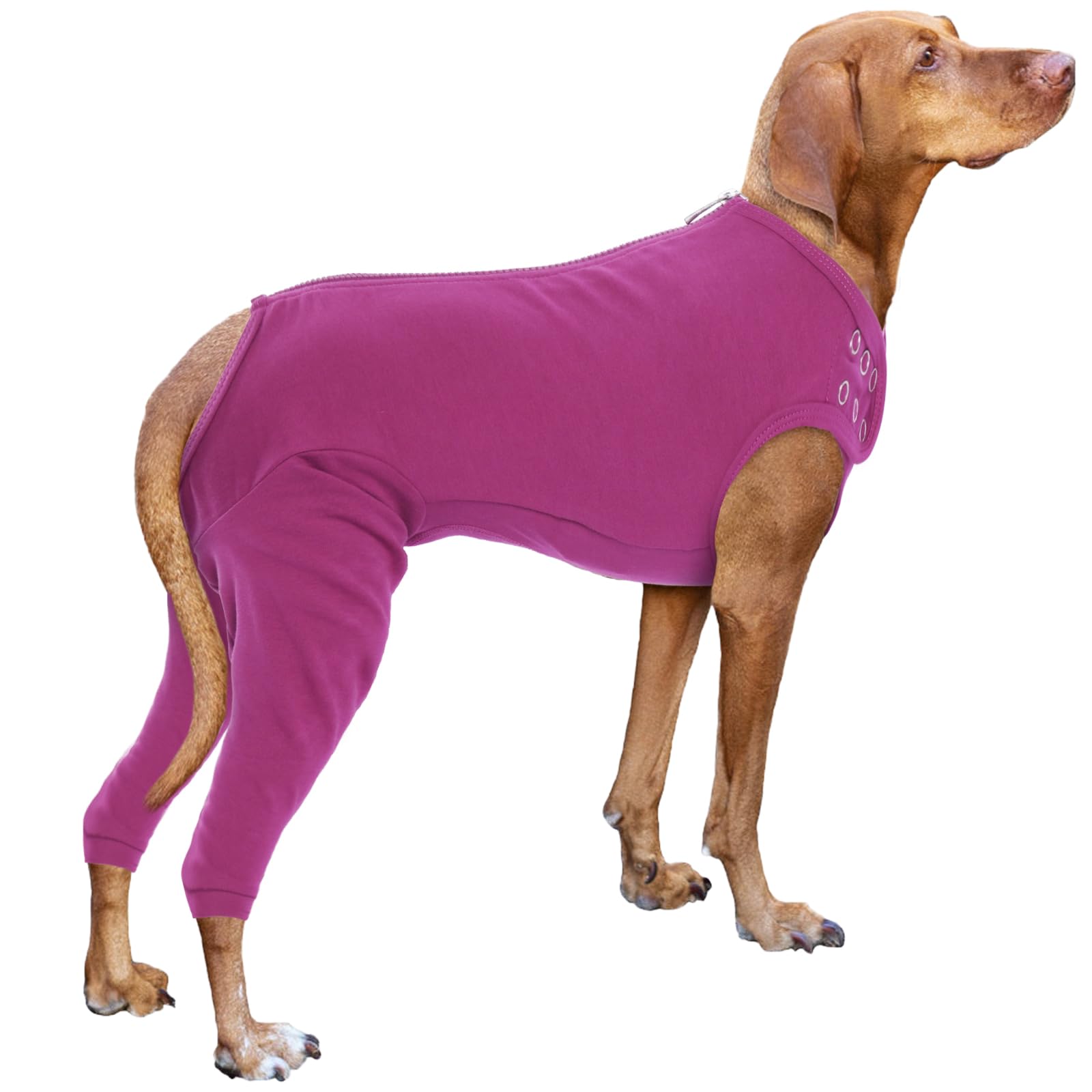 Photo 1 of Nanaki Dog Wound Care Shirt,Dog Leg Sleeve To Stop Licking Rear Leg And Abdomen,Dog Surgery Suit Female Spay,Dog Onesie For Surgery Female Male,Dog Surgical Recovery Suit Female Dog Wound Heal Clothes