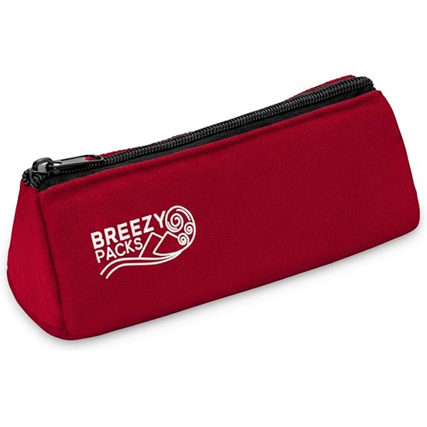 Amazon.com: BreezyPacks Smart Insulin Cooler Travel Case, No