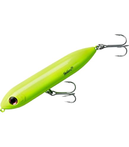 Amazon.com : Heddon Super Spook Topwater Fishing Lure for
