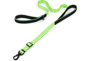 Tiffpaws Adjustable Double Handle Dog Leash, Dual Soft Padded Handles Dog Lead for Traffic Control Heaty Duty Long Leashes Perfect for Walking and Training of Medium or Large Dogs (Green,4FT)
