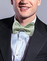 DiBanGu Light Green Bow Ties for Men Sage Green