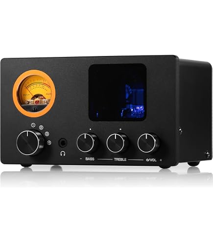 Amazon.com: Douk Audio ST-01 PRO 200W Bluetooth Tube Amplifier