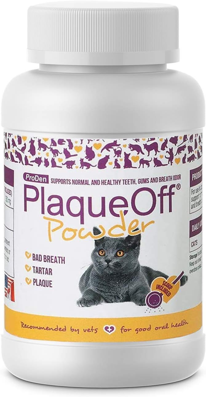 remove cat pee from clothes