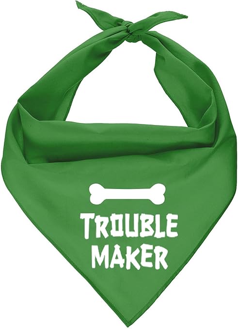 male dog accessories