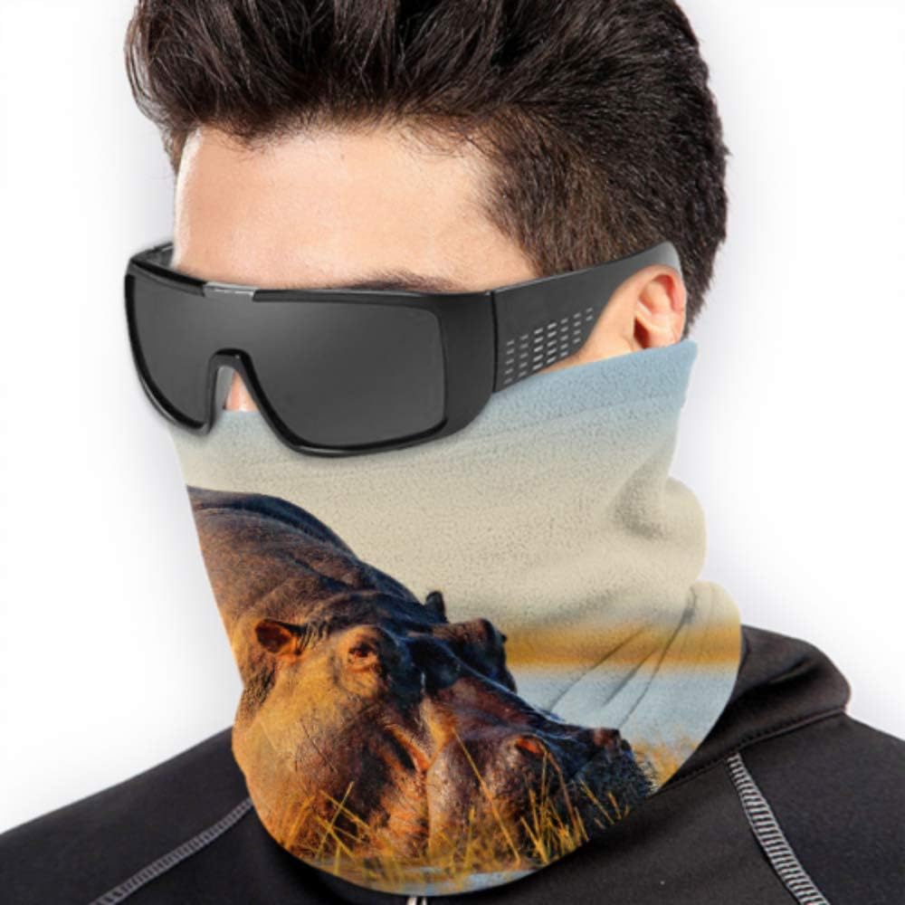 Common Hippopotamus Or Hippo Sun Proof Face Mask Balaclava Face Mask