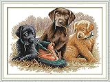 YEESAM ART New Cross Stitch Kits Advanced Patterns for Beginners Kids Adults - Three Dogs 11 CT Stamped 54×40 cm - DIY Needlework Wedding Christmas Gifts
