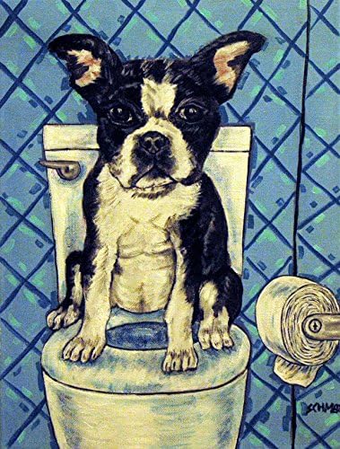 boston terrier in the bathroom decor signed dog art print gift