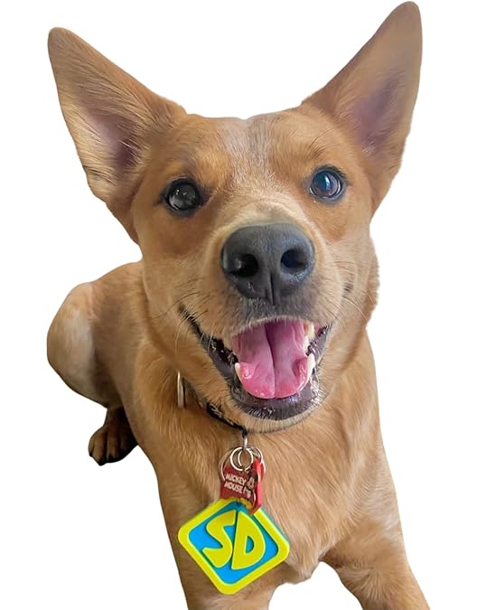 scooby doo dog costume medium
