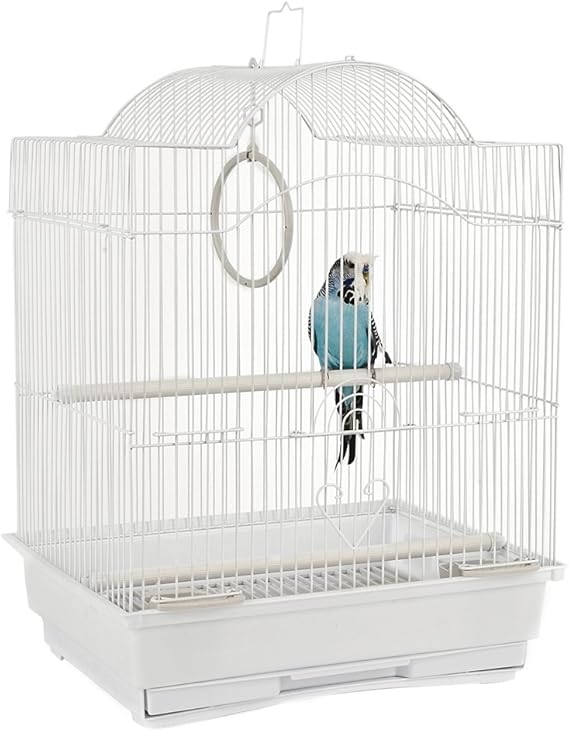 Rainforest Cages Panama Small Bird Cage Amazon.co.uk Pet Supplies
