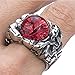 ELFASIO Men Stainless Steel Rings The Devil Dragon eye/Eyes of Hell Demon Red/Blue/Purple/Green Biker Vintage Ring Size 8-15