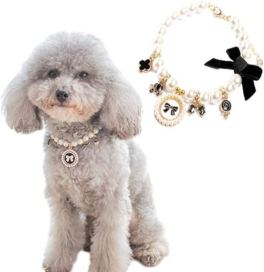 dog collar jewelry charms
