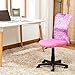 EuroStile Adjustable Kids Desk Chair Mid-Back Ergonomic Mesh Swivel Computer Office Desk Task Chair 8007FL