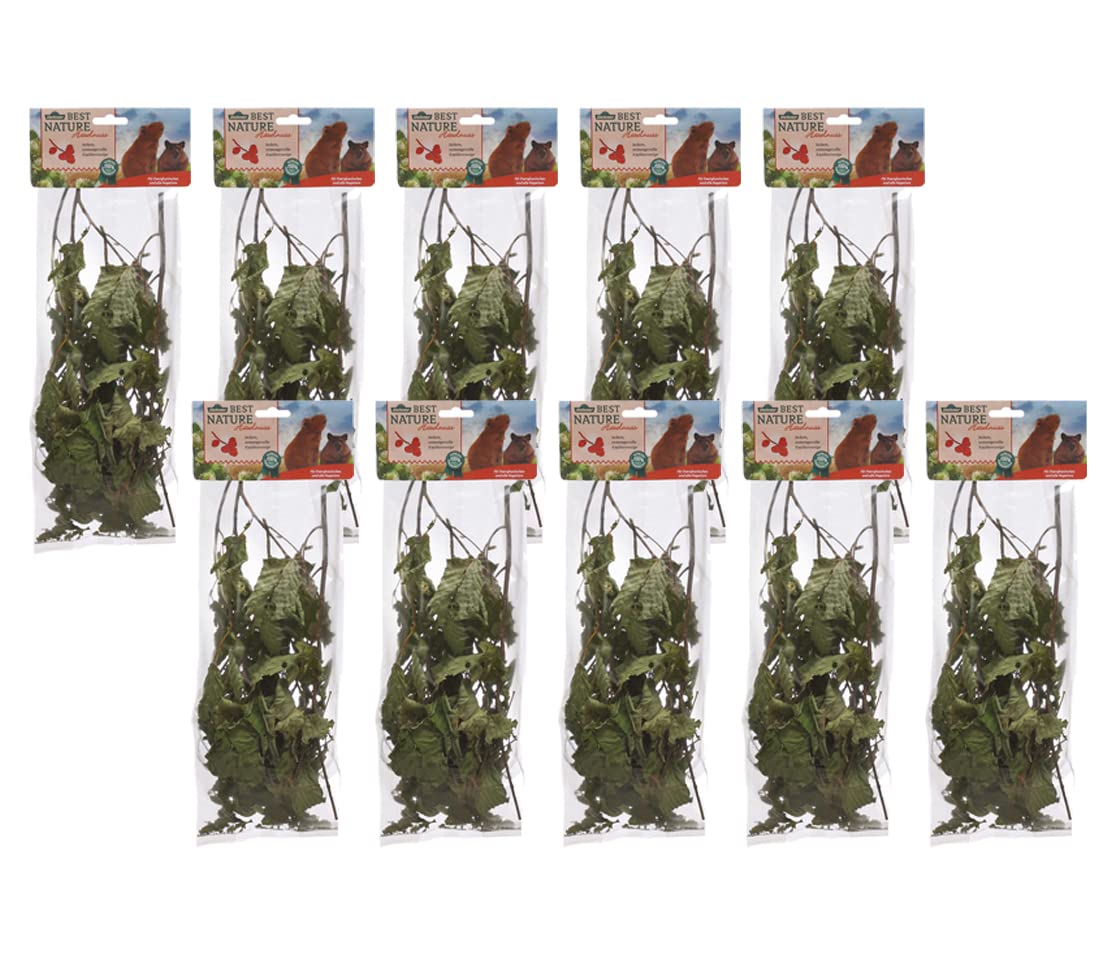 Dehner Best Nature Rodent Snack Hazelnut Branches – 10 x 25g (250 g)