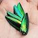 Jewel Beetle Elytra Green Wings Sternocera Aequ Natural Taxidermy Fashion Design- 200 Pcs.