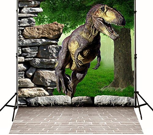 HMTfoto 5X7ft(1.5X2.2m) Backdrop Photography Studio Newborn Backdrops Brick Wall Floor 3D Skys for Thick Frabic
