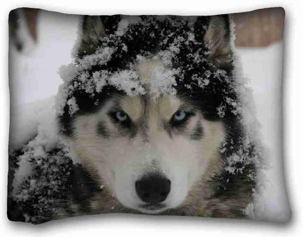 Animals Dog Fence Throw Pillow Case Cushion Covers 20X26 Inch