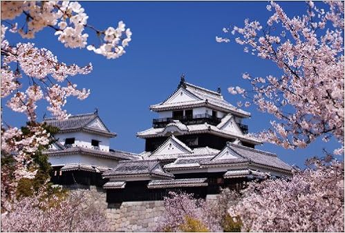 Amazon Co Jp 限定 桜咲く松山城 ポストカード3枚セット P3 004 山口 博之 写真工房ポストカード 本 通販 Amazon Amazon Co Jp 限定 桜咲く松山城 ポストカード3枚セット P3 004 山口 博之 写真工房ポストカード 本 通販 Amazon