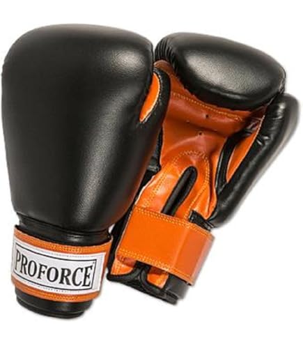 best boxing gloves for heavy bag