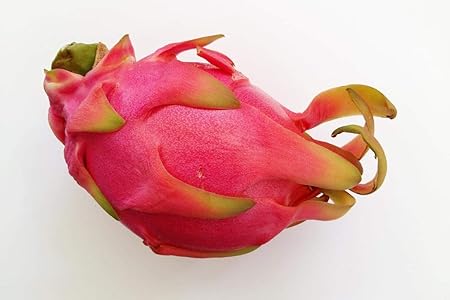 DRAGON FRUIT SEEDS / 50 SEEDS