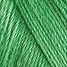 Caron Simply Soft Solids Yarn, 6oz, Gauge 4 Medium, 100% acrylic - Green - Machine Wash & Dry (H970039779)